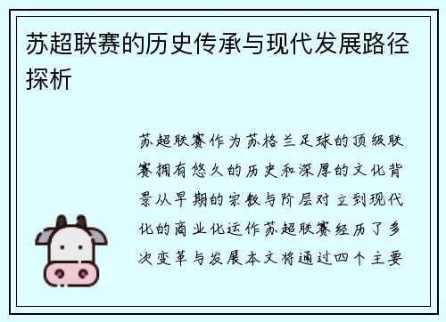 苏超联赛的历史传承与现代发展路径探析